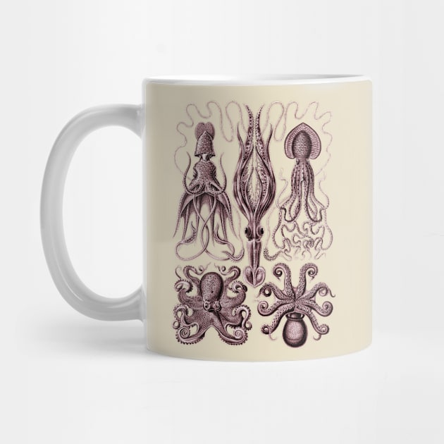 Ernst Haeckel Gamochonia Octopus Red by Scientistudio